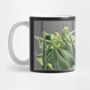 Tendrils Mug